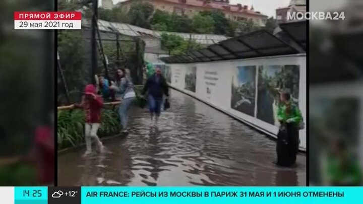 Когда потеплеет в рязани в мае