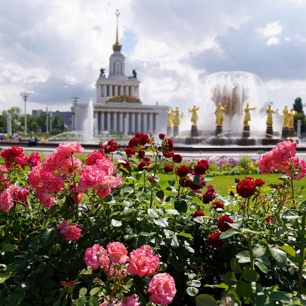 Исторический розарий воссоздали на ВДНХ – Москва 24, 27.05.2021