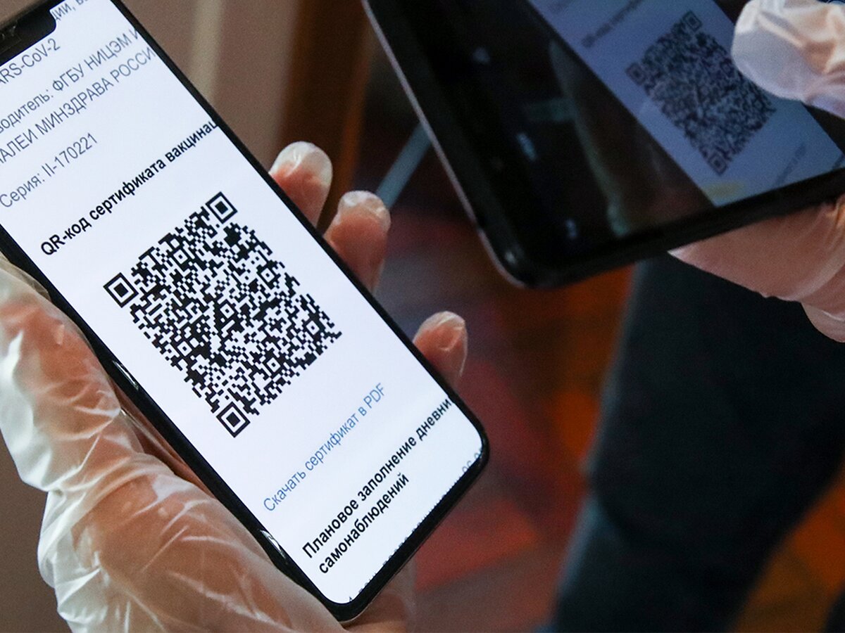 В СФ рассказали о наказании за использование поддельных QR-кодов – Москва  24, 29.06.2021