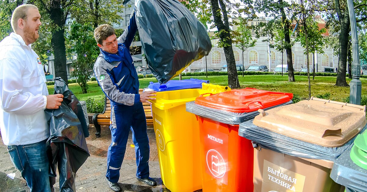 Сортировка отходов фото