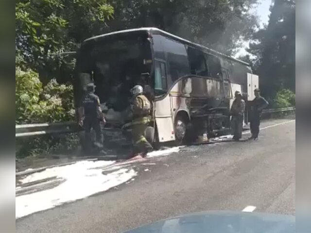 В МВД назвали число пострадавших в ДТП с автобусами на Кубани