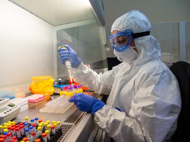 Новые штаммы коронавируса принципиально не влияют на эпидемический процесс – Попова