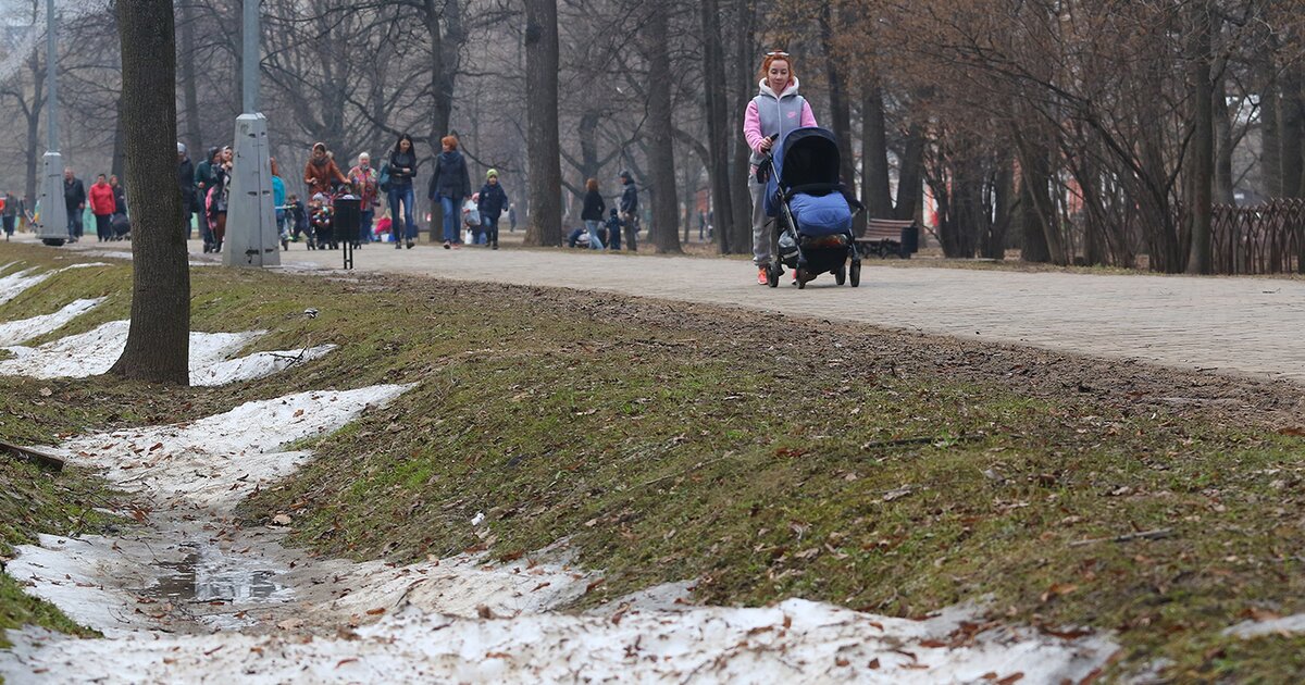 Выпал и растаял. Высота снега в Москве сейчас.