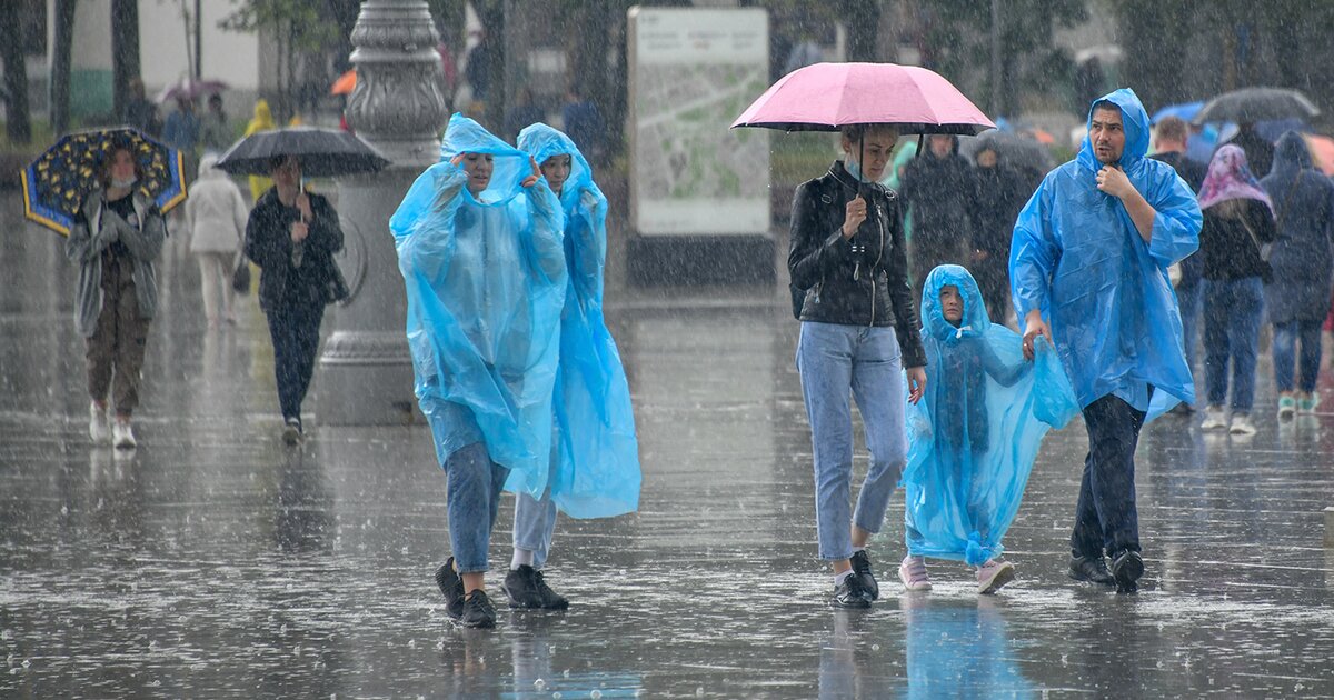 Вильфанд о погоде фото