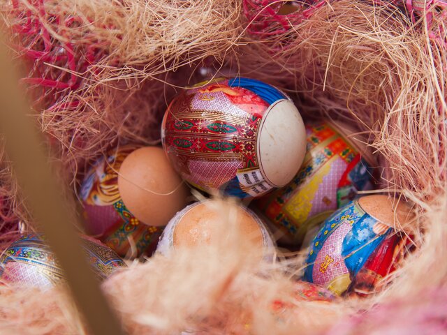 В Роспотребнадзоре рассказали, сколько яиц можно съесть на Пасху без вреда для здоровья