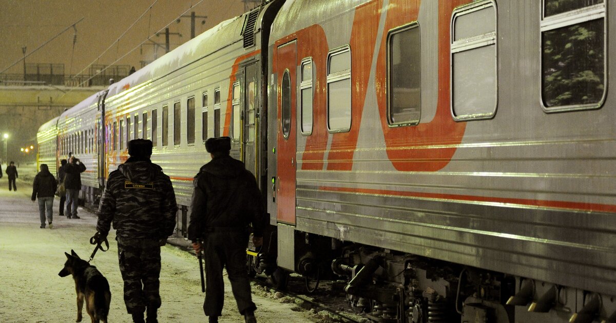 Полиция в поезде. Полицейский поезд. Дебошир в поезде. Задымление электрички.