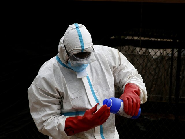 В России зафиксировали один случай заражения человека птичьим гриппом