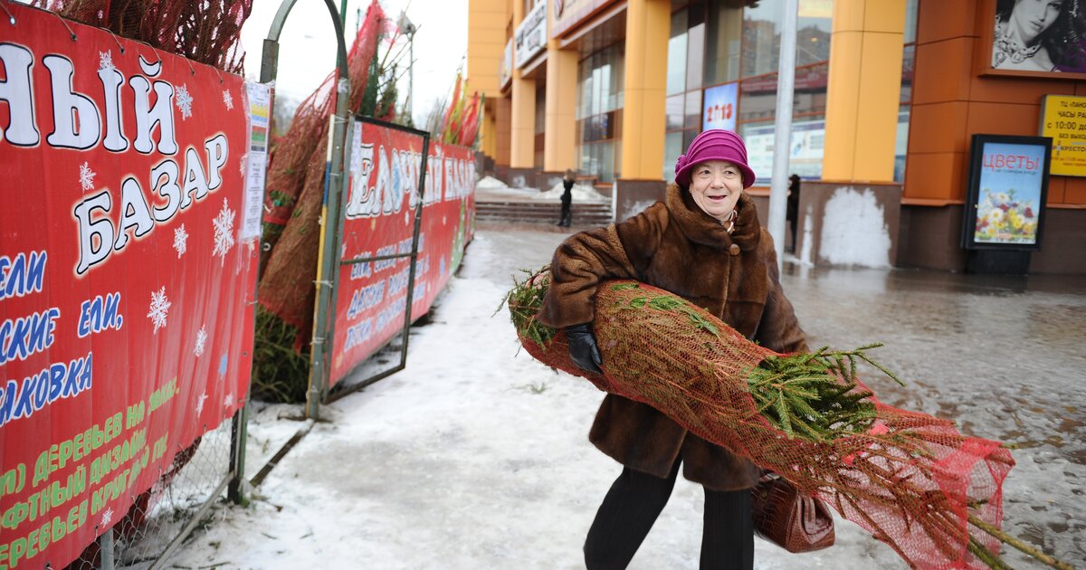 Когда откроются елочные базары в москве. Елочный базар в Москве. Ярмарка елок. Сувенир елочный базар. Ярмарка елок Казань.