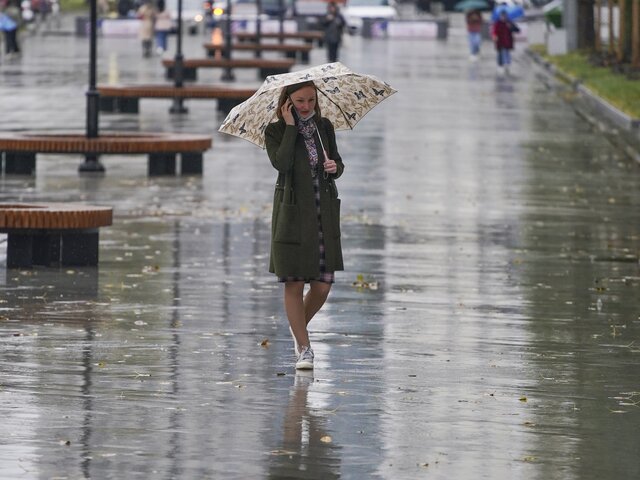 Москвичей предупредили о дожде в четверг