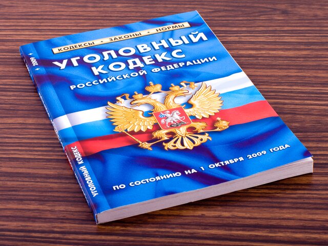 Кабмин внес в Госдуму проект поправок в статью УК РФ о повторных побоях