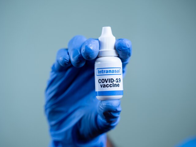 Регистрация назальной вакцины от COVID-19 может пройти раньше запланированного – Гинцбург