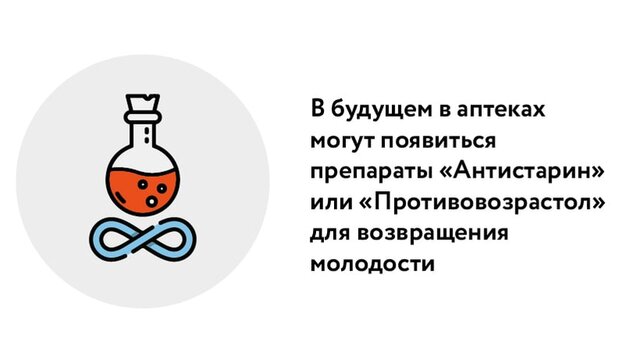 Витамин бессмертия: развенчан миф о панацее от старения