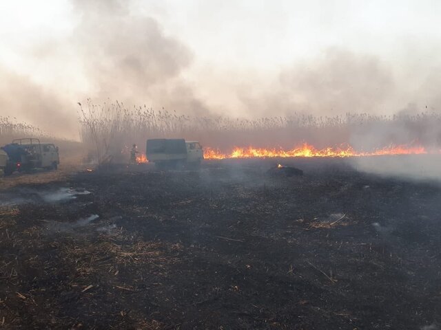Ландшафтный пожар произошел в Астраханском заповеднике