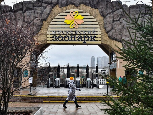 Московский зоопарк продлит график работы на два часа