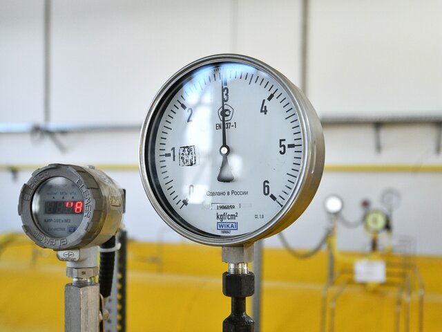 Германия продолжит платить за российский газ в евро и долларах – канцлер ФРГ
