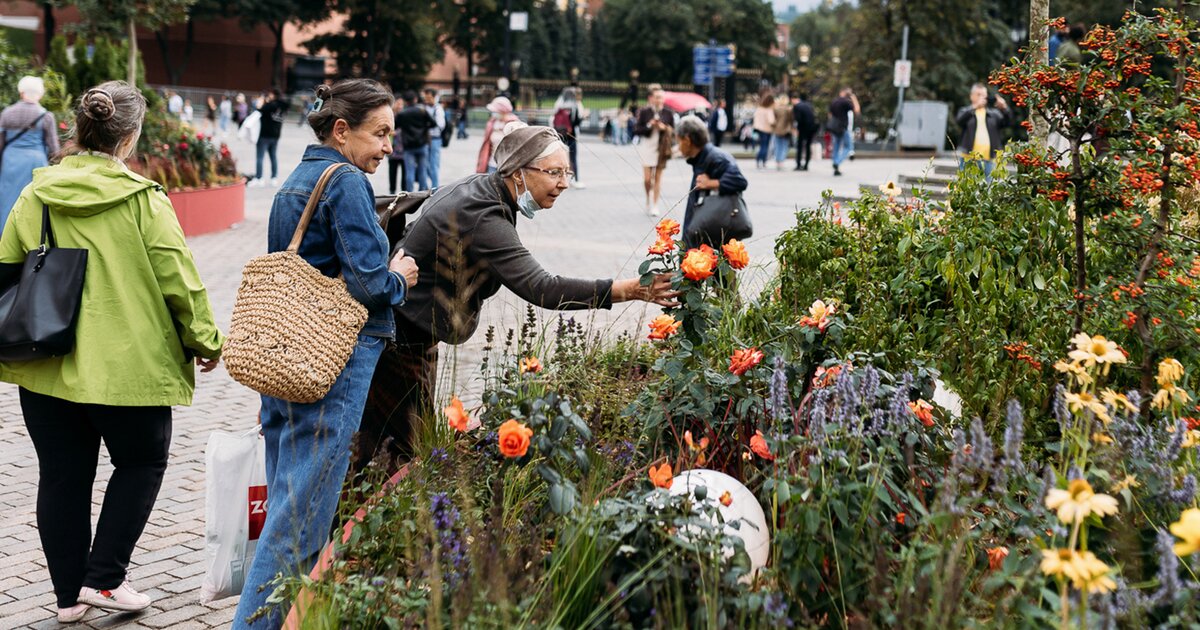 Фестивали 2023 2024. Маргарита Кондратьева цветочный джем. Московские сезоны цветочный джем. Фестиваль цветов. Городской праздник.