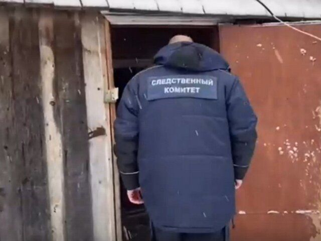После пропажи девочки под Новгородом прокуратура проверит органы профилактики и опеки