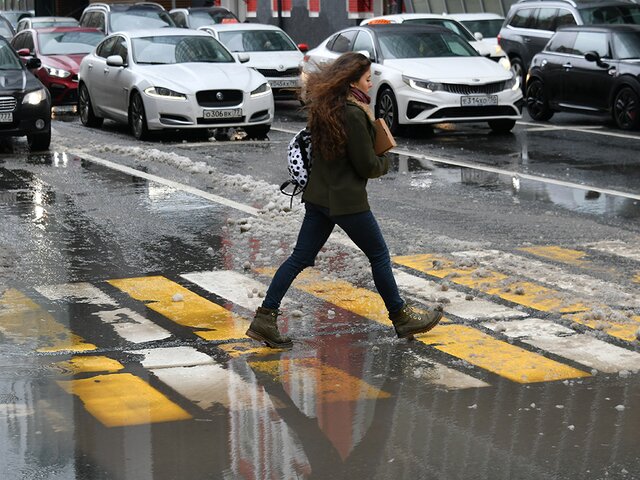 Синоптик спрогнозировала весеннюю погоду до конца недели в Москве 