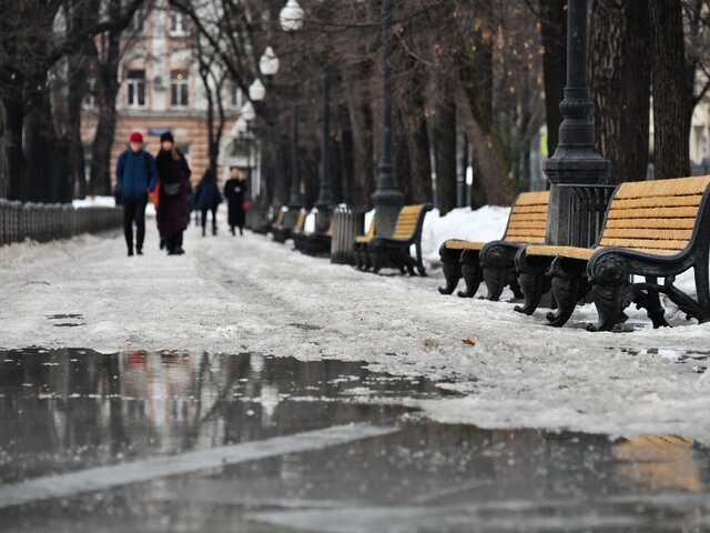 Высота сугробов в Москве уменьшилась более чем вдвое с начала февраля