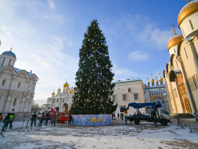 Демонтаж новогодних елей завершили в Москве