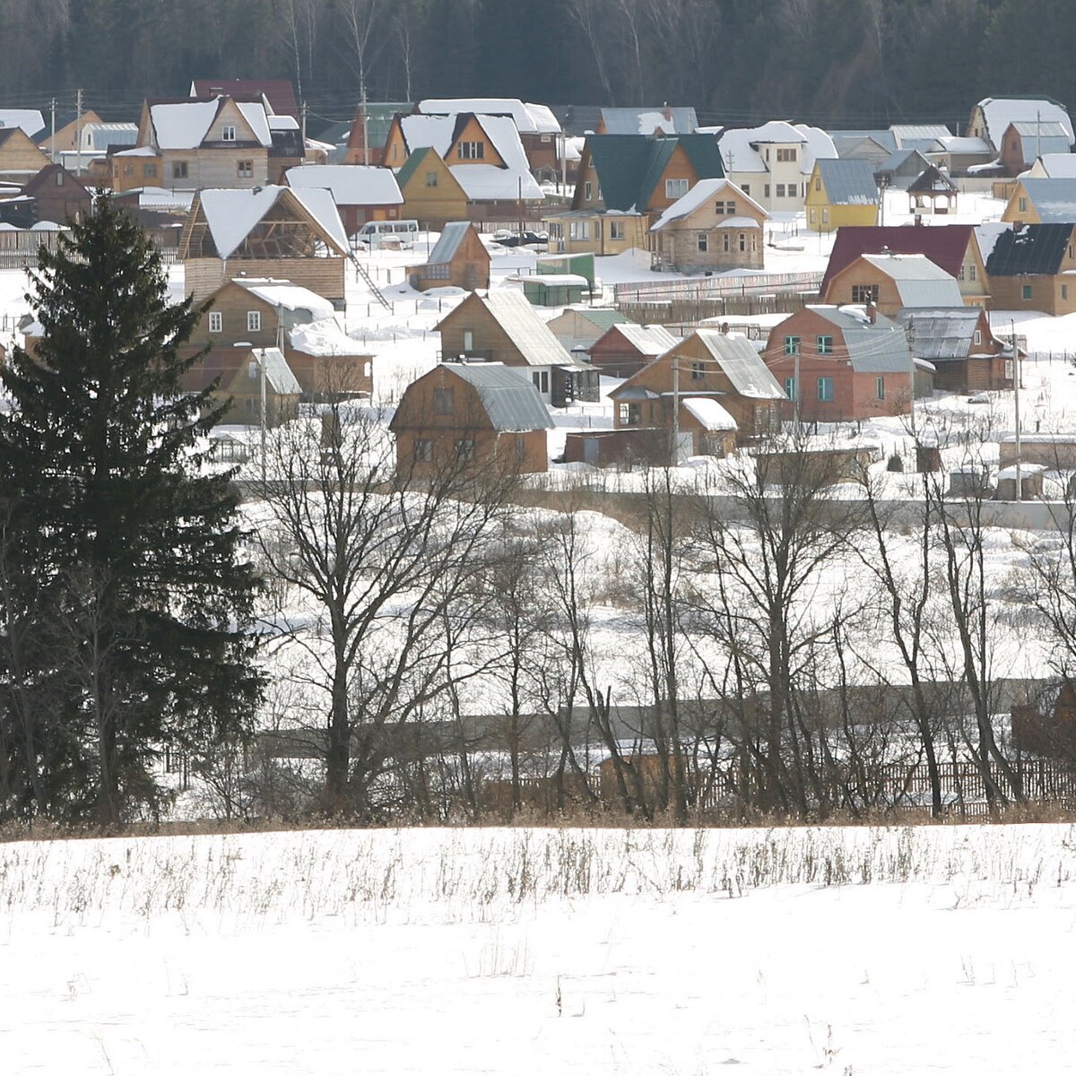 Дачная амнистия