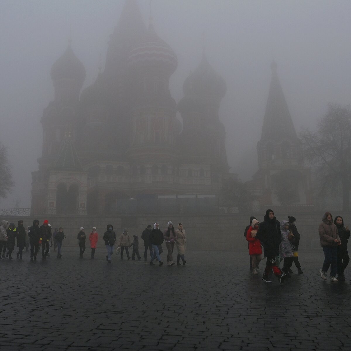 Туман в Москве сохранится местами до 14:00 – Москва 24, 02.11.2021