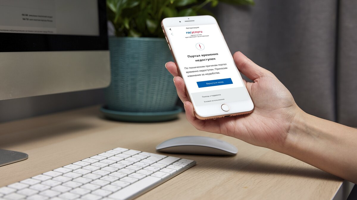 Портал госуслуг временно не работает – Москва 24, 11.11.2021