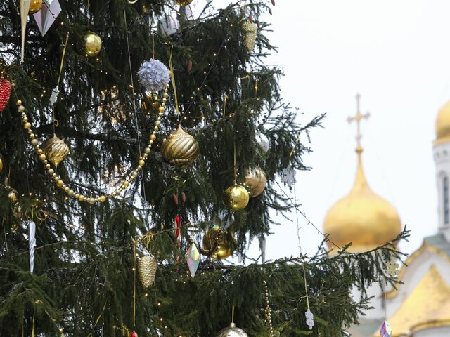 Главной новогодней елкой России станет 90-летняя ель из Щелкова