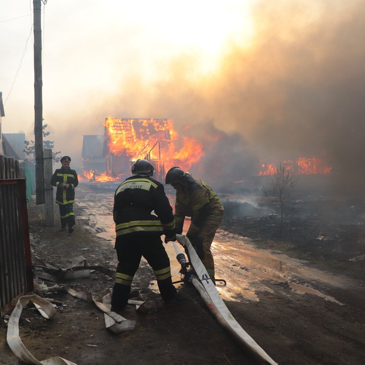 Режим ЧС ввели в Курганской области из-за пожаров – Москва 24, 28.04.2022