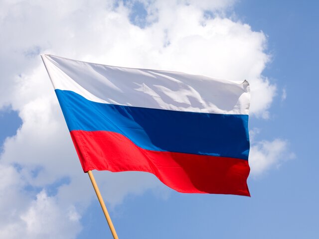 Занятия в школах Воронежской области будут начинаться с поднятия флага РФ