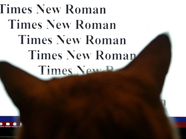 В России смогут найти замену Times New Roman и другим шрифтам – эксперт