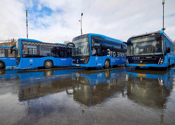 Несколько автобусов