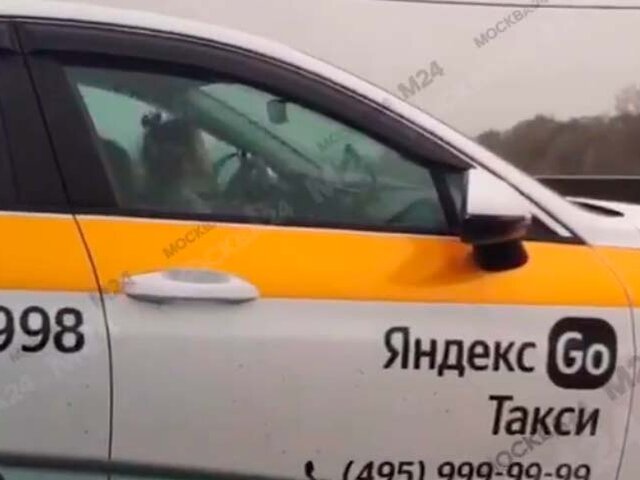 Московский таксист посадил ребенка за руль