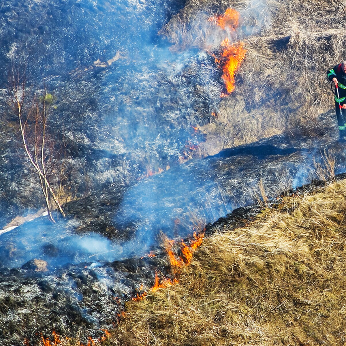 Эксперты рассказали, что может грозить за поджог травы – Москва 24,  28.04.2022