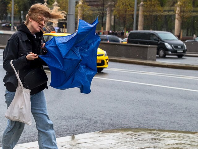Синоптик объяснил ветреную погоду в Москве
