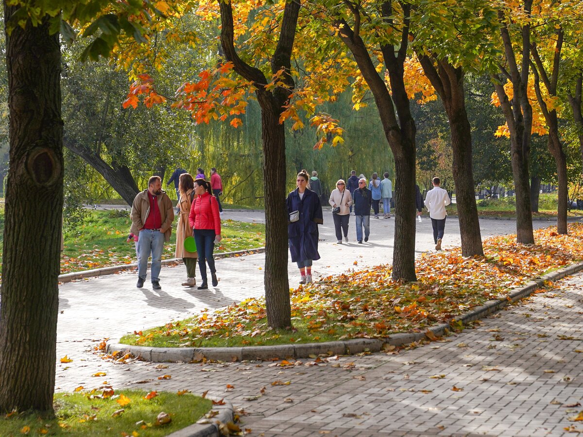 Листопад начался на природных территориях Москвы – Москва 24, 20.09.2022