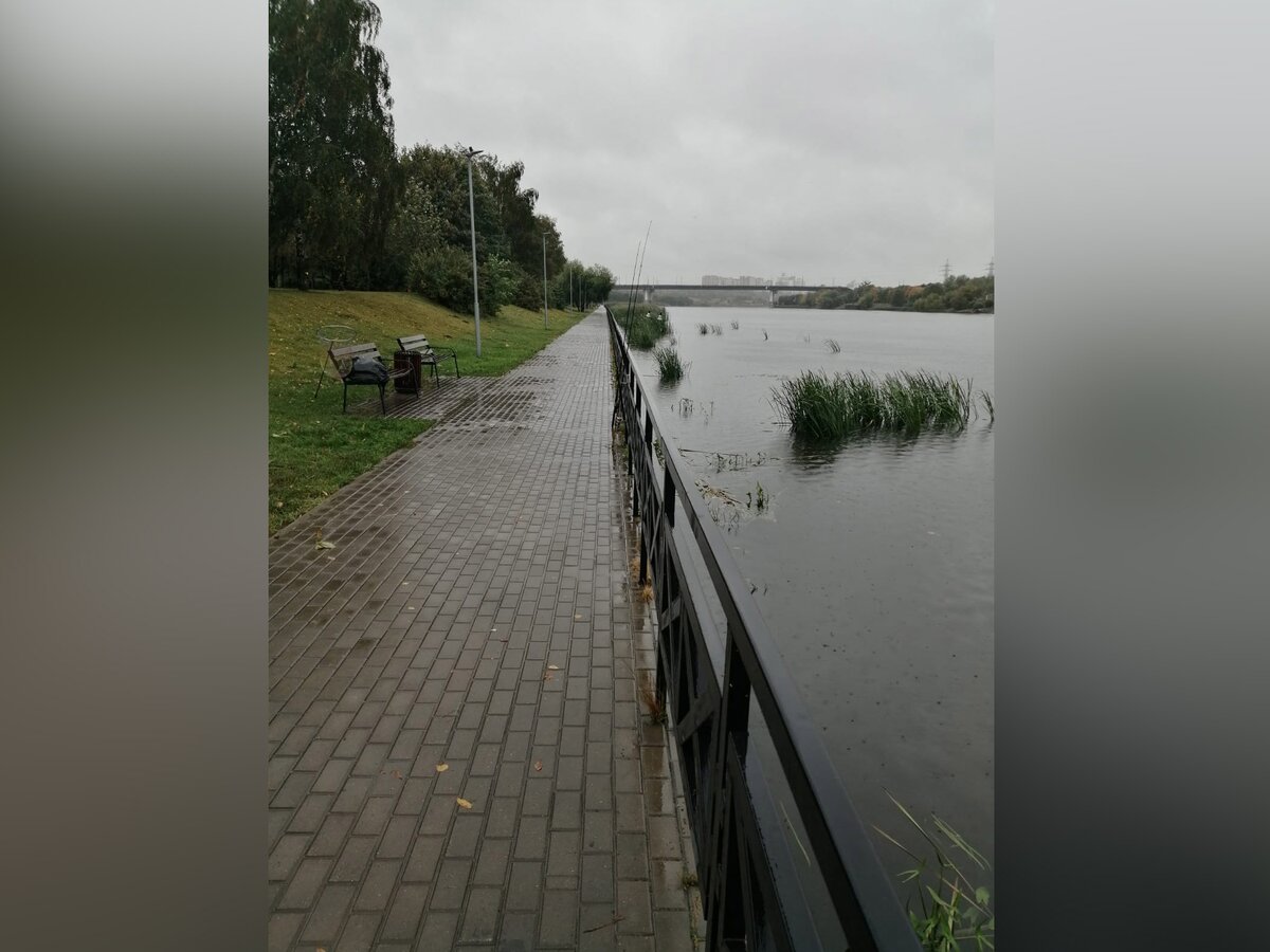 Тело новорожденной девочки нашли в Москве-реке на юге столицы – Москва 24,  24.09.2022