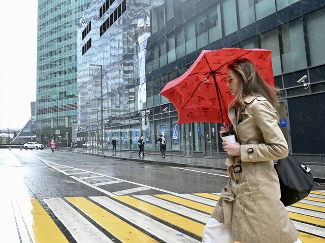 Дождь и до 12 градусов тепла ожидается в столичном регионе в субботу