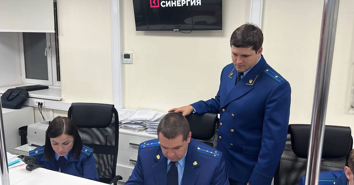 Проект полиция синергия