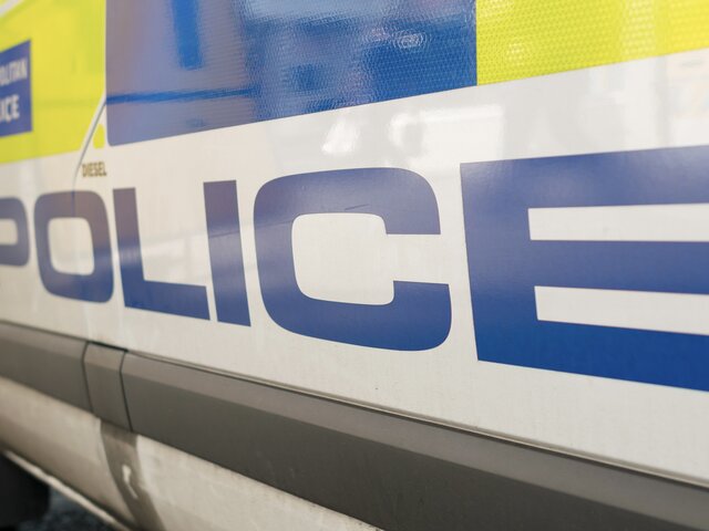 Полиция Лондона задержала мужчину с ножом у здания британского парламента