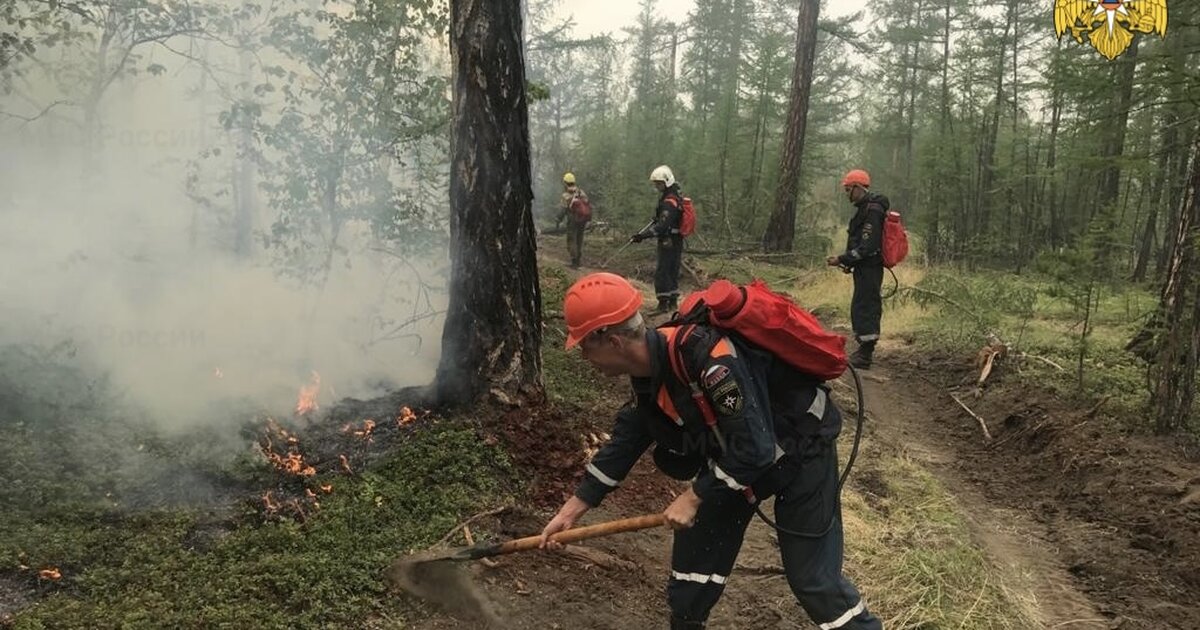 Рослесхоз пожар. Карта распространения лесных пожаров на Дальнем востоке. Пока в Лесном.