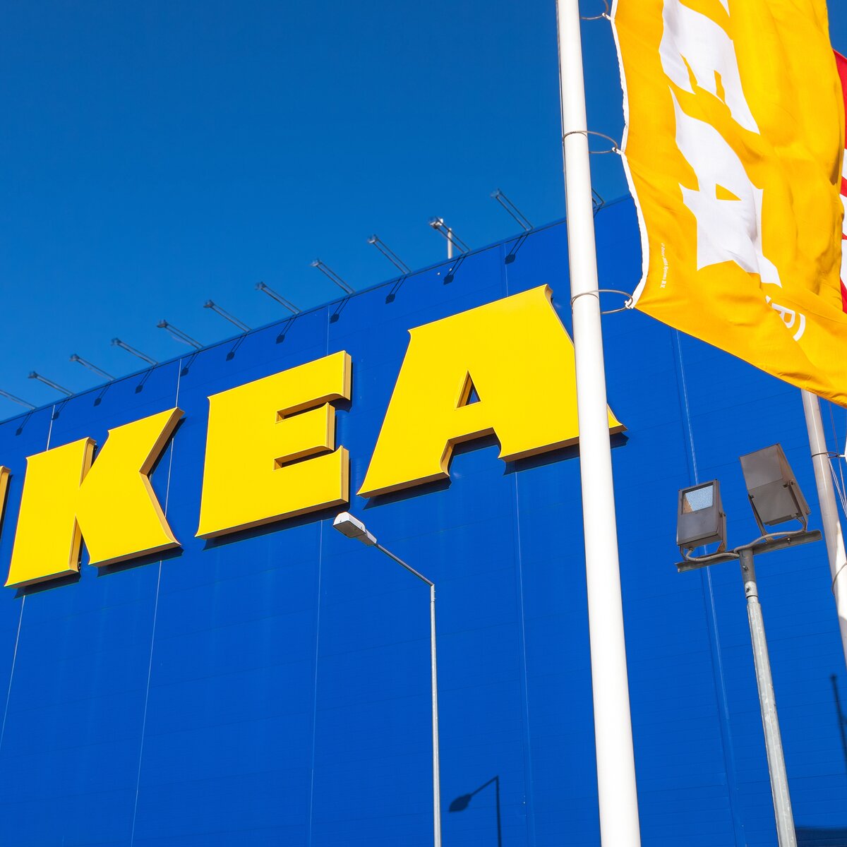 Завод IKEA в Тихвине возобновит работу с 1 сентября – Москва 24, 10.08.2022