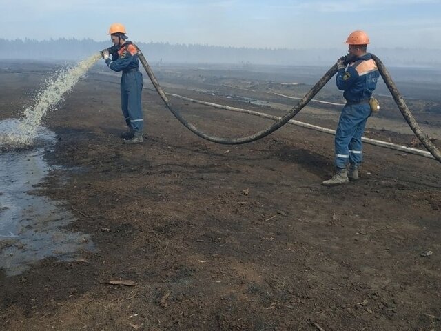 Торфяной пожар во Владимирской области ликвидировали