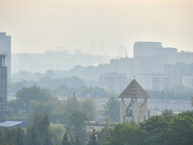 Врач рассказала, как защититься от смога в Москве