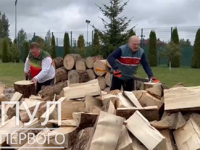 Лукашенко наколол дрова для жителей Европы