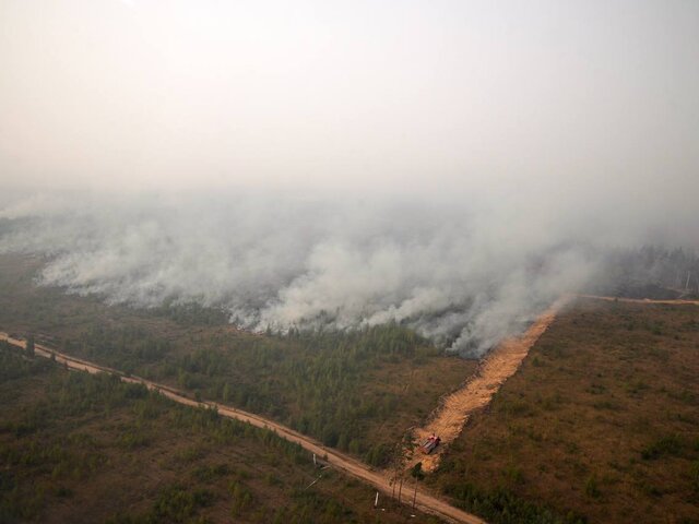 В МЧС сообщили о ликвидации лесных пожаров в Рязанской и Ивановской областях