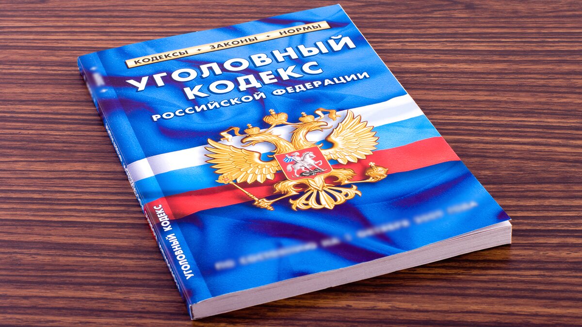 Параметры экономических статей УК РФ могут быть пересмотрены – Москва 24,  04.07.2022