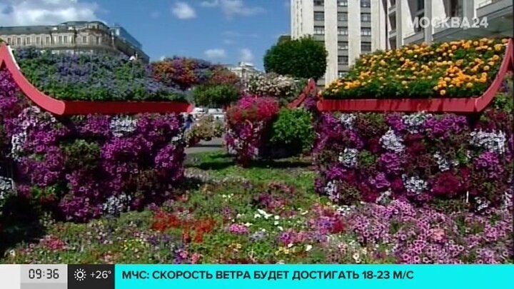 Фото Цветов Москва