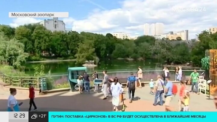 Зоопарк день города. Праздник в зоопарке. Московский зоопарк животные. Московский зоопарк океанариум. Жуи и Диндин в Московском зоопарке.