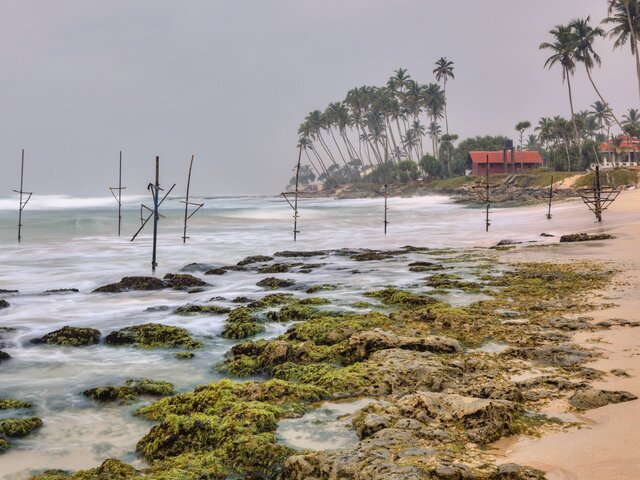 Эксперты рассказали, стоит ли туристам планировать отдых на Шри-Ланке
